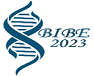 BIBE