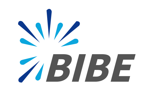 BIBE 2024